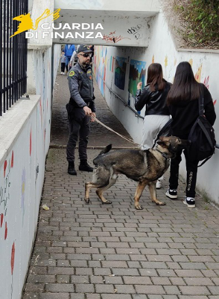 Controlli antidroga vicino alle scuole, la Guardia di finanza passa al setaccio il Piceno